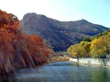 com域名涨价